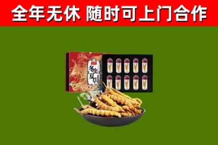 昌平烟酒回收冬虫夏草礼盒.jpg